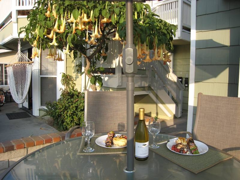 Lower unit outdoor patio dining with wine and food under flowering tree