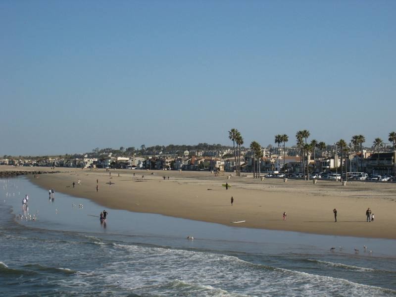 Newport Beach shoreline with tall palm trees and beachfront village
