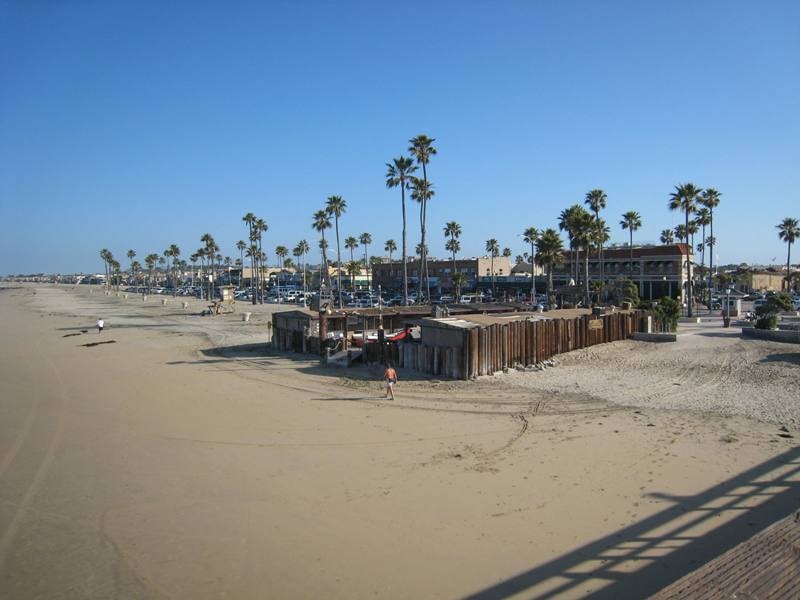 Newport Beach wide shoreline with palm trees and beachgoers on a clear day