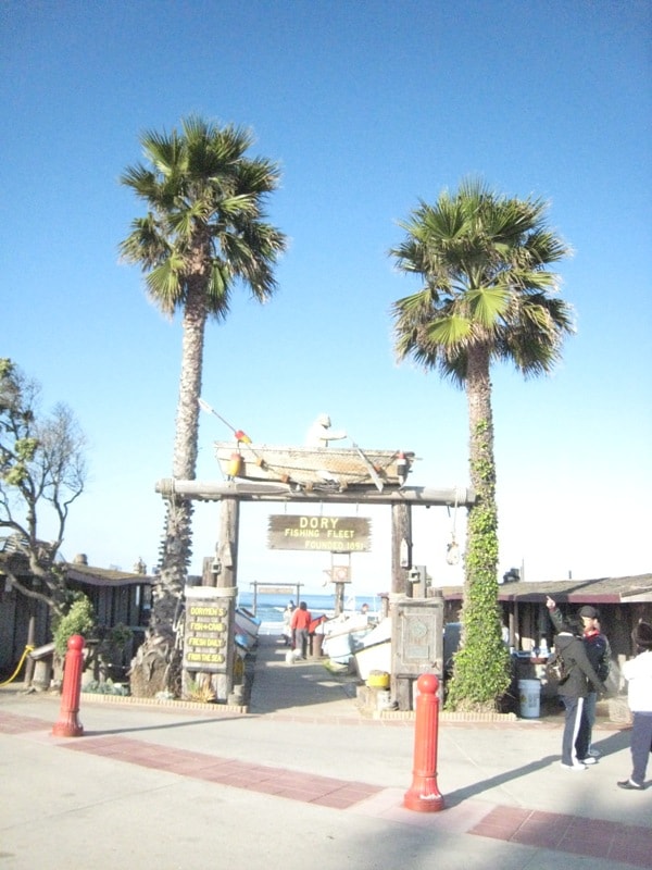 Dory Fishing Fleet entrance with palm trees and rustic signage