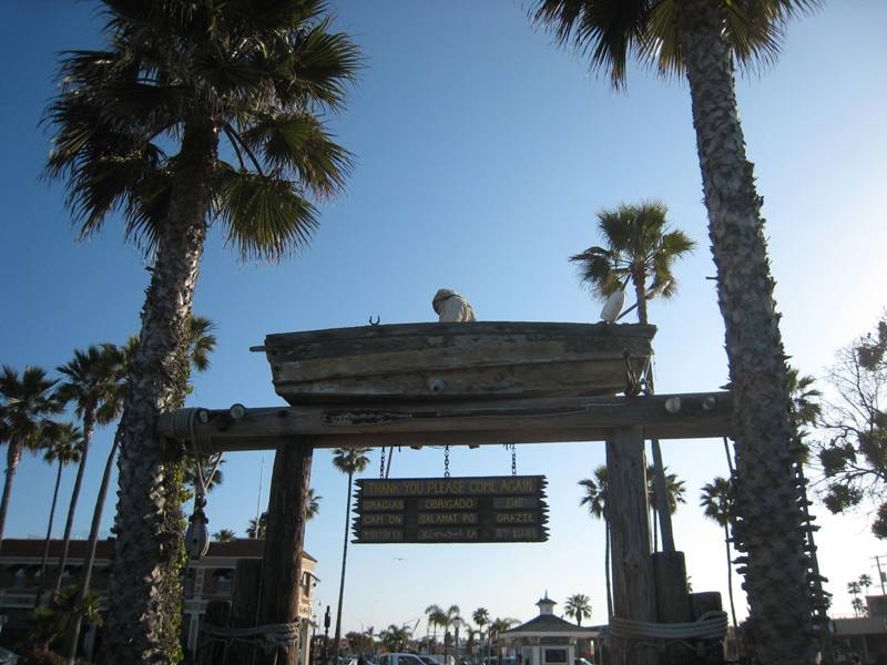 Dory Fishing Fleet thank you sign with seagulls and palm trees