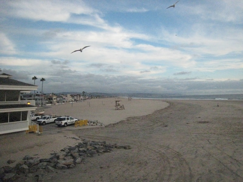 Seagulls flying over Newport Beach with patrol vehicles on the sand